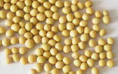 丰胸又减肥的食物与运动,让你拥有完美迷人曲线 丰胸 第11张-瘦瘦减肥网 丰胸又减肥的食物与运动,让你拥有完美迷人曲线 丰胸 第11张