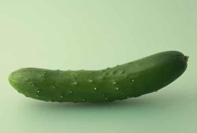 夏日黄瓜排毒减肥法，教你如何健康减肥不反弹 减肥方法 第2张
