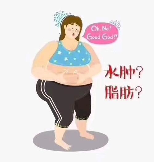 柠檬加枸杞可以减肥吗(柠檬加什么泡可以减肥) 减肥 第1张