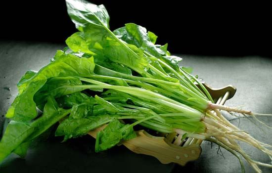 春节吃什么减肥，10种食物助春节瘦身 饮食减肥 第7张