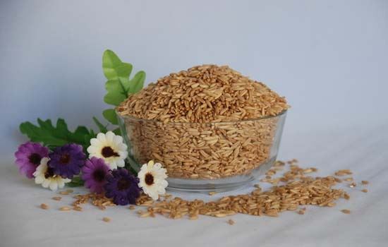 春节吃什么减肥，10种食物助春节瘦身 饮食减肥 第10张