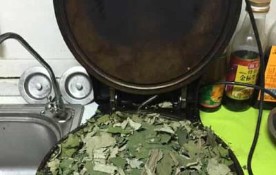 荷叶灰如何制作,荷叶灰并非是把荷叶用明火烧一下 减肥 第2张-瘦瘦减肥网 荷叶灰如何制作,荷叶灰并非是把荷叶用明火烧一下 减肥 第2张