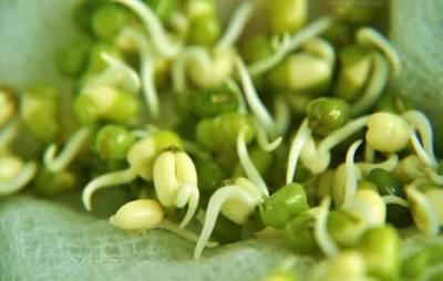 吃什么减肥效果最好，推荐低卡又营养的减肥食材 饮食减肥 第2张