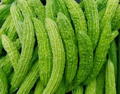 生吃苦瓜快速减肥法,低卡消脂减肥最快秘籍 快速减肥 第3张-瘦瘦减肥网 生吃苦瓜快速减肥法,低卡消脂减肥最快秘籍 快速减肥 第3张