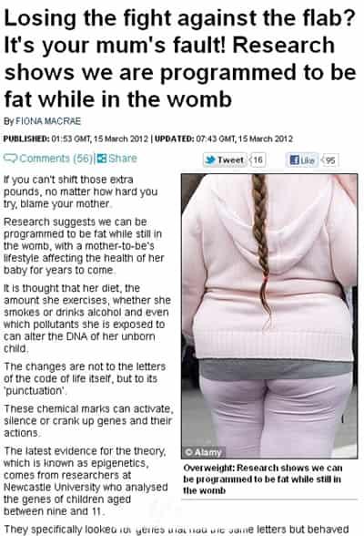 肥胖会遗传吗,肥胖或许不是你的错 关于肥胖 第1张-瘦瘦减肥网 肥胖会遗传吗,肥胖或许不是你的错 关于肥胖 第1张