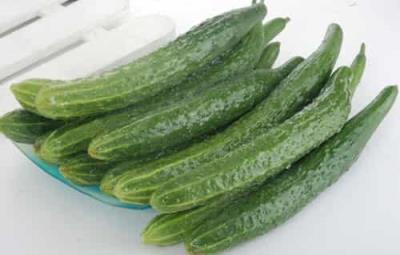 简单黄瓜减肥食谱,美容又减肥 减肥食谱 第1张-瘦瘦减肥网 简单黄瓜减肥食谱,美容又减肥 减肥食谱 第1张