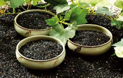 吃什么食物可以减肥,吃这些食物越吃越瘦 饮食减肥 第7张-瘦瘦减肥网 吃什么食物可以减肥,吃这些食物越吃越瘦 饮食减肥 第7张