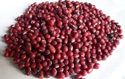 吃什么食物可以减肥,吃这些食物越吃越瘦 饮食减肥 第8张-瘦瘦减肥网 吃什么食物可以减肥,吃这些食物越吃越瘦 饮食减肥 第8张