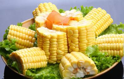 吃什么食物可以减肥,吃这些食物越吃越瘦 饮食减肥 第10张-瘦瘦减肥网 吃什么食物可以减肥,吃这些食物越吃越瘦 饮食减肥 第10张