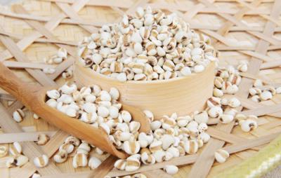 吃什么食物可以减肥,吃这些食物越吃越瘦 饮食减肥 第9张-瘦瘦减肥网 吃什么食物可以减肥,吃这些食物越吃越瘦 饮食减肥 第9张