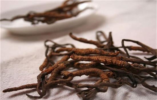 陈皮泡水喝能减肥吗,陈皮减肥可以这样吃 饮食减肥 第1张-瘦瘦减肥网 陈皮泡水喝能减肥吗,陈皮减肥可以这样吃 饮食减肥 第1张