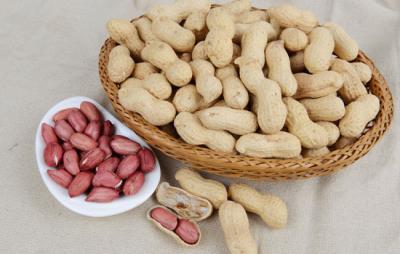 吃什么食物可以减肥,吃这些食物越吃越瘦 饮食减肥 第5张-瘦瘦减肥网 吃什么食物可以减肥,吃这些食物越吃越瘦 饮食减肥 第5张