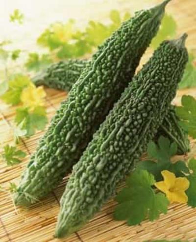 夏季快速减肥食谱推荐:苦瓜健康减肥法 快速减肥 第1张-瘦瘦减肥网 夏季快速减肥食谱推荐:苦瓜健康减肥法 快速减肥 第1张