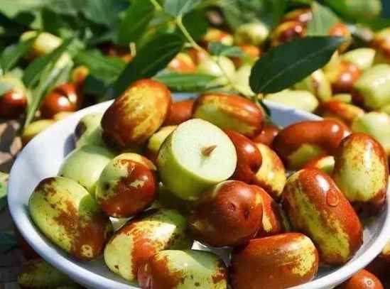 贵妃枣的热量(贵妃蜜枣和牛奶枣的区别) 减肥 第1张-瘦瘦减肥网 贵妃枣的热量(贵妃蜜枣和牛奶枣的区别) 减肥 第1张