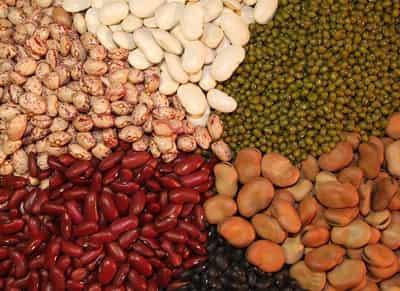 简单六步瘦腹法，快速减去小肚腩 减肚子 第2张