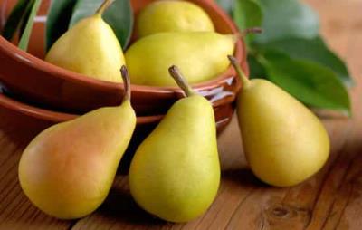 吃梨子会胖吗，梨子正确吃还能减肥 饮食减肥 第1张