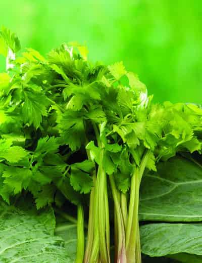 最有效的快速瘦腿方法,8个小秘方告别小粗腿 瘦腿 第3张-瘦瘦减肥网 最有效的快速瘦腿方法,8个小秘方告别小粗腿 瘦腿 第3张