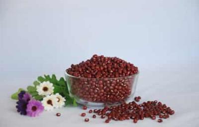 最有效的快速瘦腿方法,8个小秘方告别小粗腿 瘦腿 第2张-瘦瘦减肥网 最有效的快速瘦腿方法,8个小秘方告别小粗腿 瘦腿 第2张