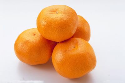 懒人科学减肥食品,健康快速吃出苗条曲线 懒人减肥 第1张-瘦瘦减肥网 懒人科学减肥食品,健康快速吃出苗条曲线 懒人减肥 第1张