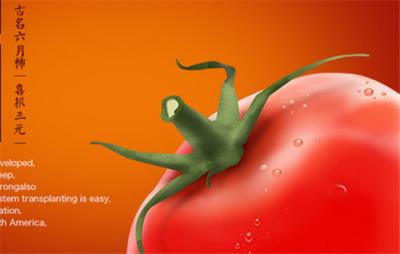 冬季减肥吃什么水果好，赶跑可恶冬膘肉得靠这些水果 饮食减肥 第3张