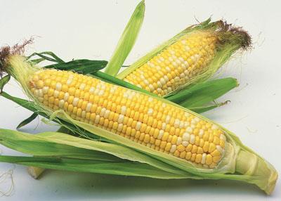 五款营养减肥早餐食谱,健康科学瘦出完美曲线 减肥食谱 第3张-瘦瘦减肥网 五款营养减肥早餐食谱,健康科学瘦出完美曲线 减肥食谱 第3张