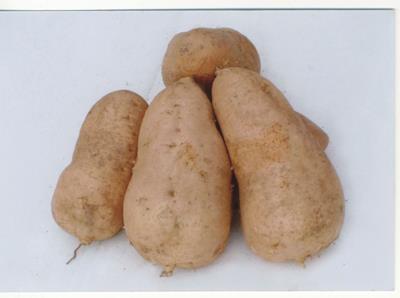 夏季减肥食品有哪些,超有效快速减肥食物 快速减肥 第2张-瘦瘦减肥网 夏季减肥食品有哪些,超有效快速减肥食物 快速减肥 第2张