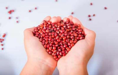 瘦脸吃什么瘦的快,8大瘦脸食物吃出小V脸 瘦脸 第1张-瘦瘦减肥网 瘦脸吃什么瘦的快,8大瘦脸食物吃出小V脸 瘦脸 第1张