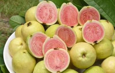 吃什么水果能减肥,减肥必吃的十一种水果 饮食减肥 第1张-瘦瘦减肥网 吃什么水果能减肥,减肥必吃的十一种水果 饮食减肥 第1张