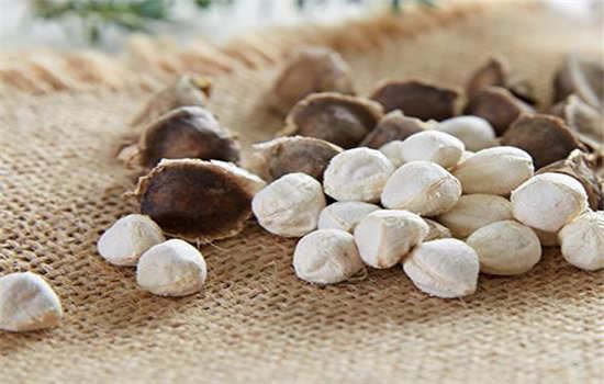 吃辣木籽能减肥吗 饮食减肥 第1张-瘦瘦减肥网 吃辣木籽能减肥吗 饮食减肥 第1张