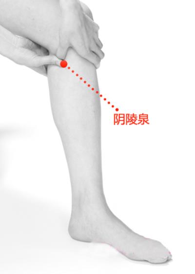 穴位按摩减肥有效吗,中医减肥方法消除水肿型肥胖 按摩减肥 第4张-瘦瘦减肥网 穴位按摩减肥有效吗,中医减肥方法消除水肿型肥胖 按摩减肥 第4张