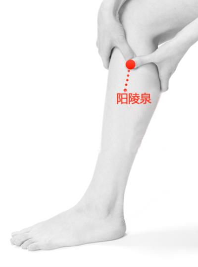 穴位按摩减肥有效吗,中医减肥方法消除水肿型肥胖 按摩减肥 第10张-瘦瘦减肥网 穴位按摩减肥有效吗,中医减肥方法消除水肿型肥胖 按摩减肥 第10张