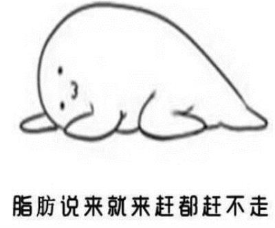 为什么我减肥减不下去,减肥必经的五个时期,你在哪个时期? 减肥 第3张-瘦瘦减肥网 为什么我减肥减不下去,减肥必经的五个时期,你在哪个时期? 减肥 第3张