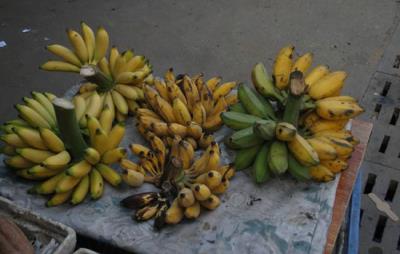 吃芭蕉会胖吗，注意正确且适量吃即可 饮食减肥 第6张