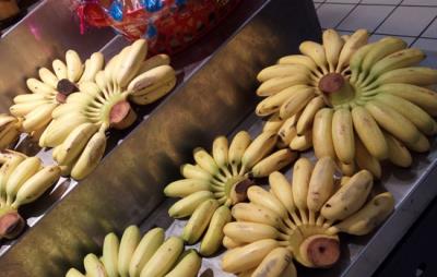 吃芭蕉会胖吗，注意正确且适量吃即可 饮食减肥 第1张