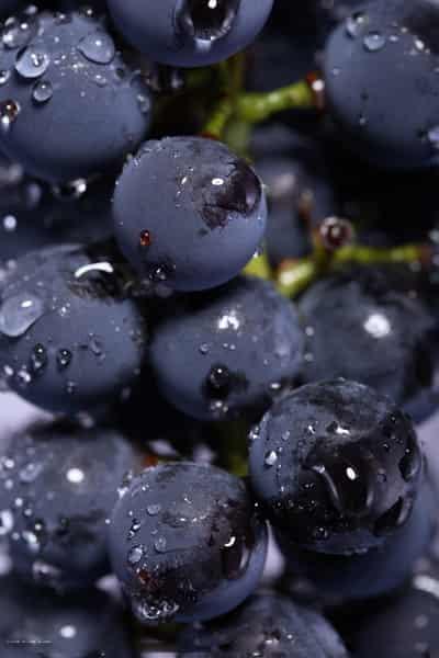 怎样减肥健康又有效，10种食物吃出好身材 饮食减肥 第7张