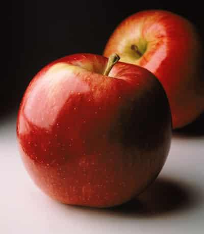 怎样减肥健康又有效，10种食物吃出好身材 饮食减肥 第9张