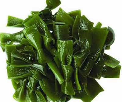 超有效排毒养颜减肥食物,快点参与夏季甩脂活动 减肥 第1张-瘦瘦减肥网 超有效排毒养颜减肥食物,快点参与夏季甩脂活动 减肥 第1张