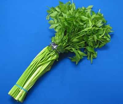 超有效排毒养颜减肥食物,快点参与夏季甩脂活动 减肥 第6张-瘦瘦减肥网 超有效排毒养颜减肥食物,快点参与夏季甩脂活动 减肥 第6张