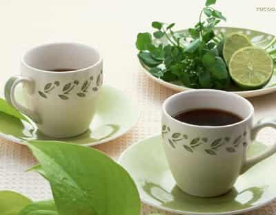 春节自制荷叶减肥茶清脂,减肥效果最好的花茶 减肥饮品 第1张-瘦瘦减肥网 春节自制荷叶减肥茶清脂,减肥效果最好的花茶 减肥饮品 第1张