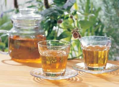 自制中药强效减肥茶配方,让你狂甩赘肉排出油脂 减肥饮品 第4张-瘦瘦减肥网 自制中药强效减肥茶配方,让你狂甩赘肉排出油脂 减肥饮品 第4张