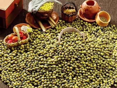 减肥最快最有效的秘诀，教你简单解暑绿豆汤做法 减肥 第4张