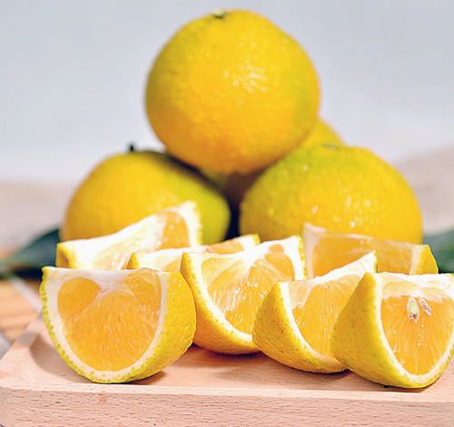 甜桔柚的副作用 减肥 第1张-瘦瘦减肥网 甜桔柚的副作用 减肥 第1张