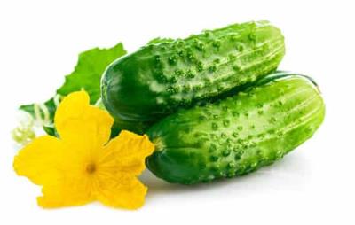 吃黄瓜能减肥吗，黄瓜减肥的秘密 饮食减肥 第1张