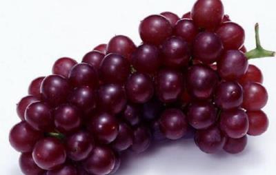 怎样吃葡萄减肥，3种葡萄减肥方法分享给大家 饮食减肥 第3张