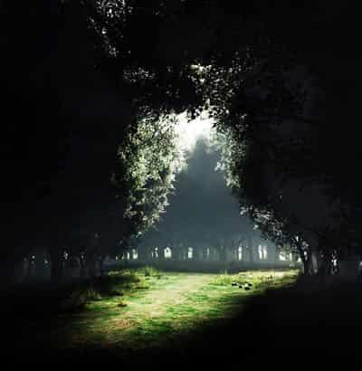 十大减肥恐怖片,看恐怖片真的可以减肥吗 减肥 第2张-瘦瘦减肥网 十大减肥恐怖片,看恐怖片真的可以减肥吗 减肥 第2张