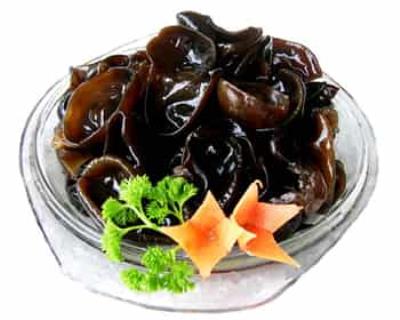 冬季减肥小V脸内调外养,打造无懈可击瘦脸法 瘦脸 第1张-瘦瘦减肥网 冬季减肥小V脸内调外养,打造无懈可击瘦脸法 瘦脸 第1张