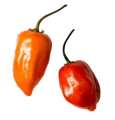 如何轻松减肥不怠懈，8个绝对有效的健康减肥法 减肥方法 第5张