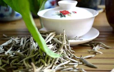 喝白茶能减肥吗,白茶可减肥但也只能辅助 减肥饮品 第4张-瘦瘦减肥网 喝白茶能减肥吗,白茶可减肥但也只能辅助 减肥饮品 第4张