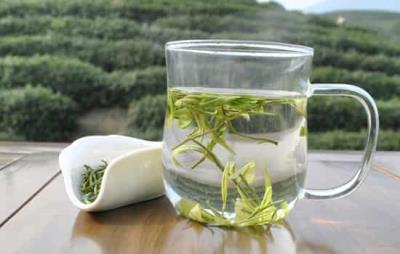 喝白茶能减肥吗,白茶可减肥但也只能辅助 减肥饮品 第3张-瘦瘦减肥网 喝白茶能减肥吗,白茶可减肥但也只能辅助 减肥饮品 第3张