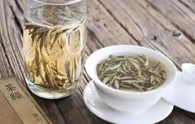 喝白茶能减肥吗,白茶可减肥但也只能辅助 减肥饮品 第1张-瘦瘦减肥网 喝白茶能减肥吗,白茶可减肥但也只能辅助 减肥饮品 第1张